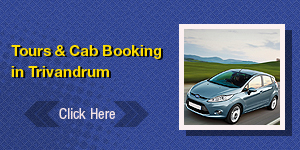Tours & Car Booking from Trivandrum